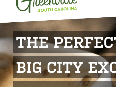 Life In Greenville Website texture typography