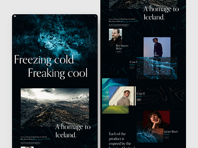 ICE design iceland interaction interaction design ui ux web design webdesign