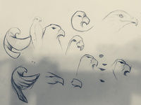 Wednesday evening sketches