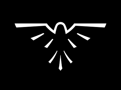 Falcon Logo Exploration