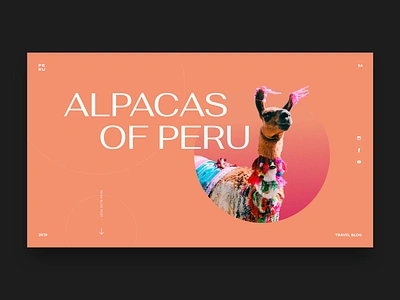 My Favourite Part of Peru alpaca fun landingpage llamas minimal peru peruvian summer travel travelblog ui