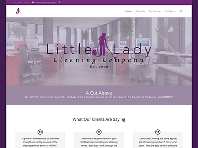 Little Lady Cleaning css custom wordpress website html wordpress