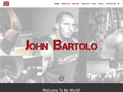 John Bartolo wordpress wordpress design