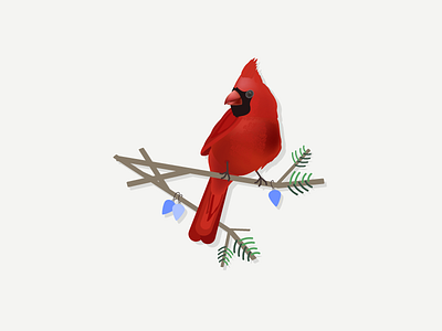 Christmas Cardinal bird cardinal christmas illustration ornament treebranch vector