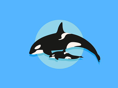 J50 Orca Whale & Baby