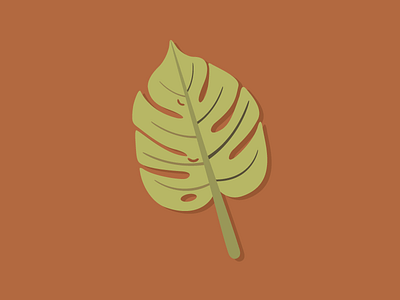 Philodendron Leafy