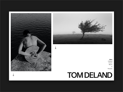Portfolio Concept - Tom Deland photography portfolio typography ui web design website