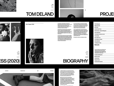 Tom Deland - Portfolio Layouts graphic design layout typography ui web design website