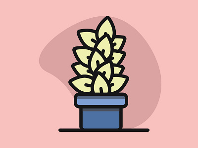 Desk Plant plant