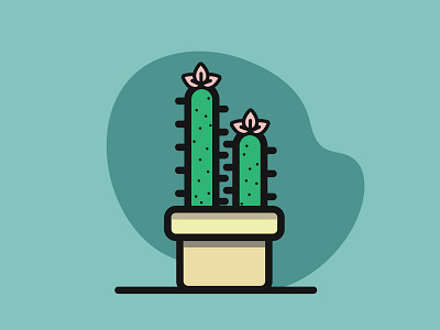 Cactus cactus plant