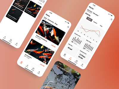 Koi Project analytics app graph ui ux