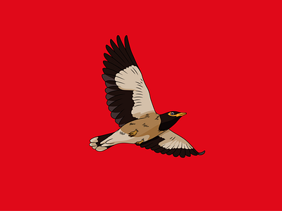TDB – Flying Free bird free illustration illustrator marcelsinge theatre vector