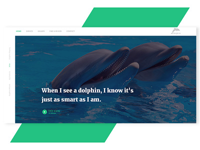 W.I.P animals best creative design dolphin dolphinarium new playing shot ui ux