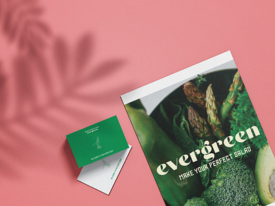 Branding for Evergreen branding graphic design illustration logo typography