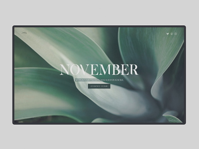 novemberweb prototype web