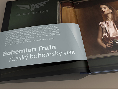 Ceske drahy – luxury book bohemia book brown czech design green limited luxury old train