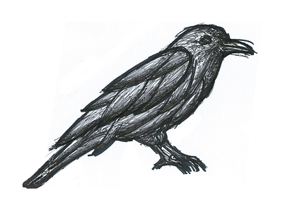 Crow bird black crow letter type