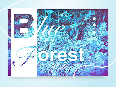 Blue Forest blue contrast filters fonts forest landing page photo site text
