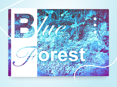 Blue Forest