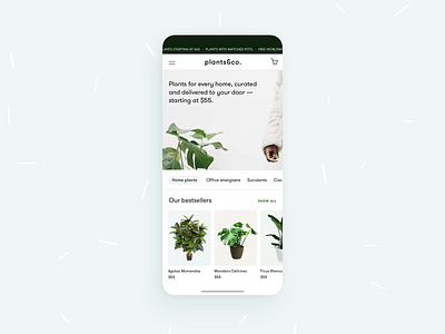 plants&co. - botanic E-Commerce 🌱