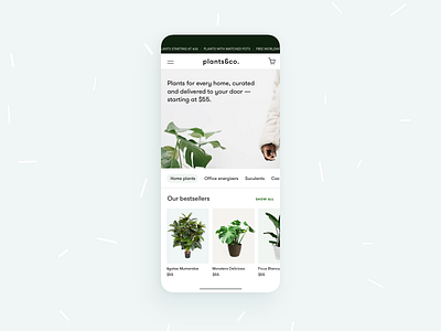 plants&co. - botanic E-Commerce 🌱 app botanical commerce ecommerce green greenery mobile monstera plant plants shop shopify store ui ui design ux web woocommerce