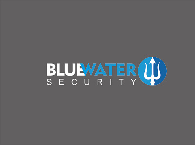 Blue Water Security logo design branding design graphic design icon logo