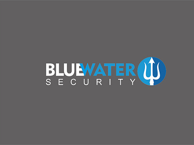 Blue Water Security logo design