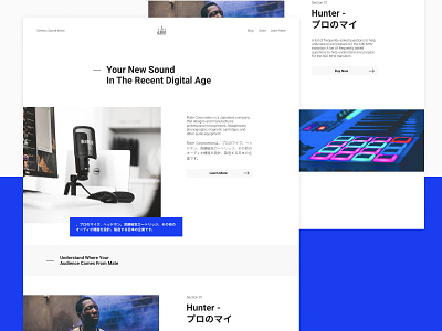Rode Audio Minimal Concept. concept japanese swiss typography web