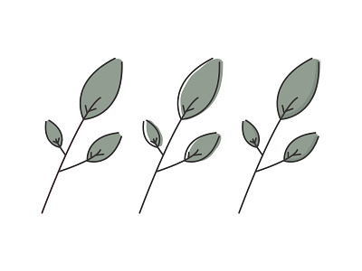Leaf Illustration Exploration. illustration leaves minimal