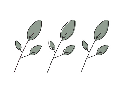 Leaf Illustration Exploration.