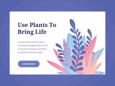 Plant - Illustration card clean design digital graphic illustration minimal plant product ui ux web