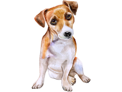 Jack Russel Terrier dog watercolor drawing animal art background cute dog drawing eyes icon isolated jack jackrussel looking painting puppy russel sitting sweet typography watercolor white