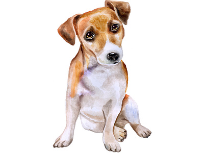 Jack Russel Terrier dog watercolor drawing