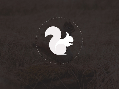 Squirrel Logo Design Idea branding design graphic design illustration logo vector