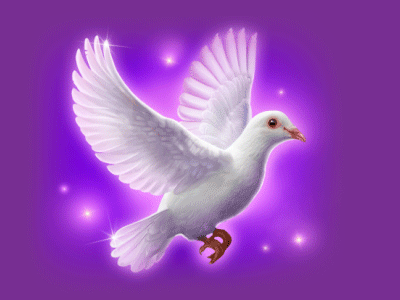 Dove animation bird casino dove gif icon logo magic motion slot