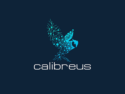 Calibreus - a dream comes true