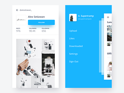 Profile and profile