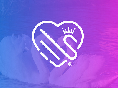Swan Love Logo Design branding design graphic design identity logo logotype