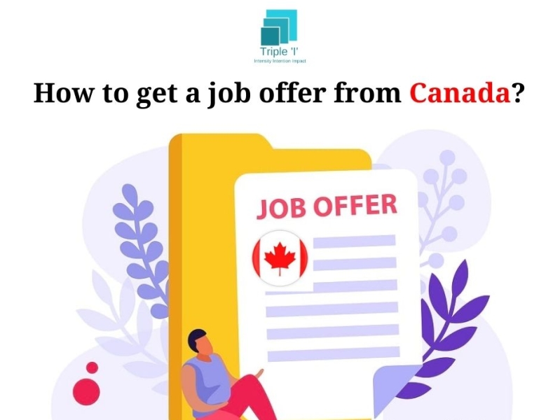 how-to-get-offer-letter-from-canada-by-urvashi-on-dribbble