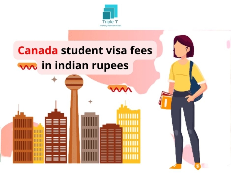 canada-student-visa-fees-in-indian-rupees-by-urvashi-on-dribbble