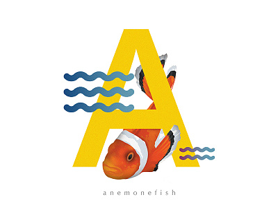 A for Anemonefish 36daysoftype 36daysoftype04 a anemonefish clownfish day1 findingnemo letter orange typeface typefish