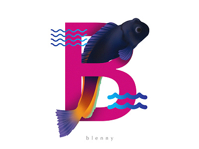 B for Blenny 36daysoftype 36daysoftype04 b blennies blenny blennyfish day2 gradation ocean orange typeface typefish