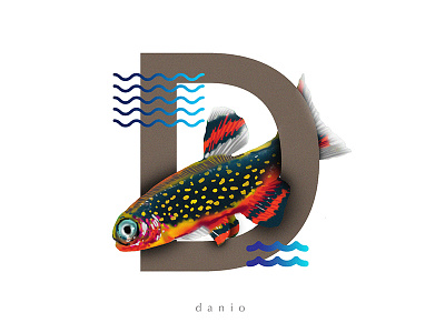 D for Danio 36daysoftype 36daysoftype04 d danio daniofish danios day4 fishfont typeface typefish