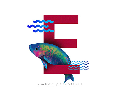 E for Ember parrotfish 36daysoftype 36daysoftype04 d day5 ember emberparrotfish fishfont latepost typeface typefish