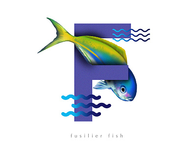F for Fusilier fish 36daysoftype 36daysoftype04 day6 f fishfont fusilierfish fusiliers typeface typefish