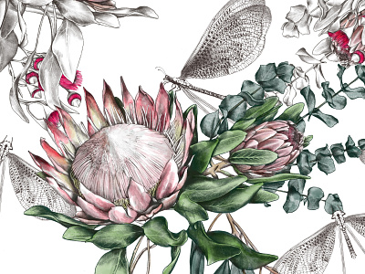 Protea botanical pattern design