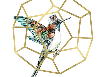 The Gilded Cage birds drawing gold illustration