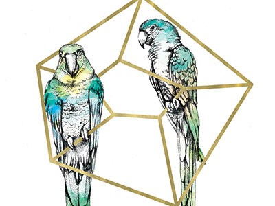 The Gilded Cage 2 birds drawing gold leaf illustration