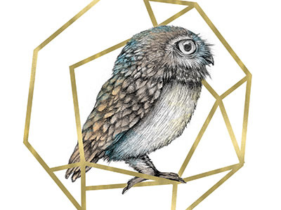 The Gilded Cage 3 birds drawing gold foil illustration