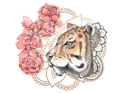 Zen Tigress Illustration art drawing illustration